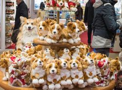 Potret Hewan Ketika Berkamuflase, Awas Bikin Mata Siwer