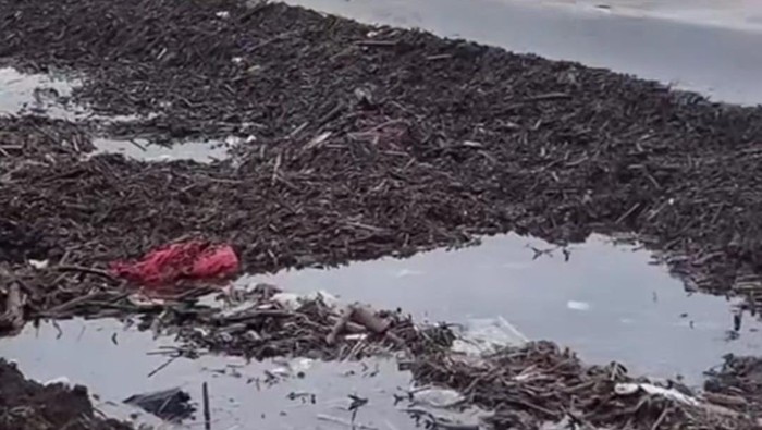 Tumpukan sampah kayu di bibir Pantai Tanjung Bayang, Makassar.