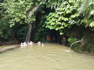 Sensasi Berendam Air Hangat Dikelilingi Pepohonan di Air Panas Angseri
