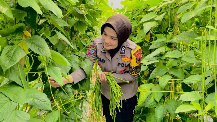 Bhabinkabtimas di Karanganyar, Brigpol Maya, saat di kebun hasil tanam warga. Diunggah Senin (24/2/2025).