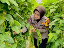 Kiat Brigadir Maya Ubah Pekarangan Warga Karanganyar Jadi Kebun Sayur Produktif