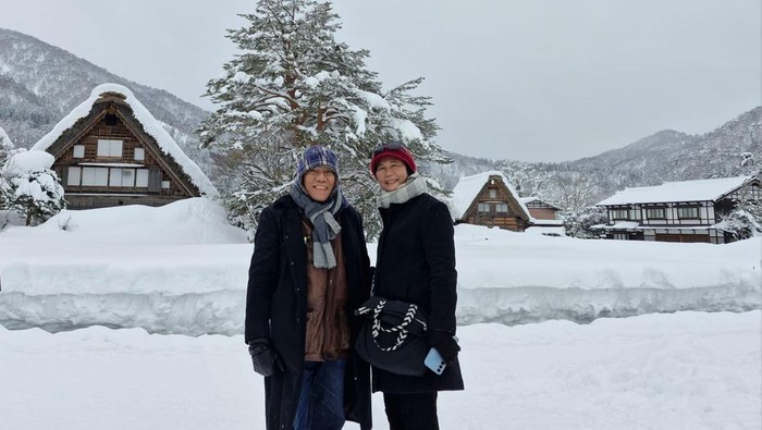 Desa Shirakawago, Jepang