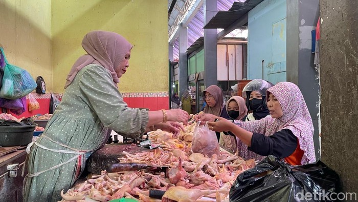 Harga Daging Ayam di Lamongan Melonjak