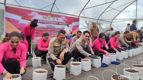 Kapolda Bali Irjen Daniel Adityajaya bersama Wakil Bupati Tabanan I Made Dirga, Ketua DPRD Tabanan I Nyoman Arnawa, saat menanam bibit tanaman pangan di Penebel, Tabanan, Bali. (Foto: Firizqi Irwan/detikBali)
