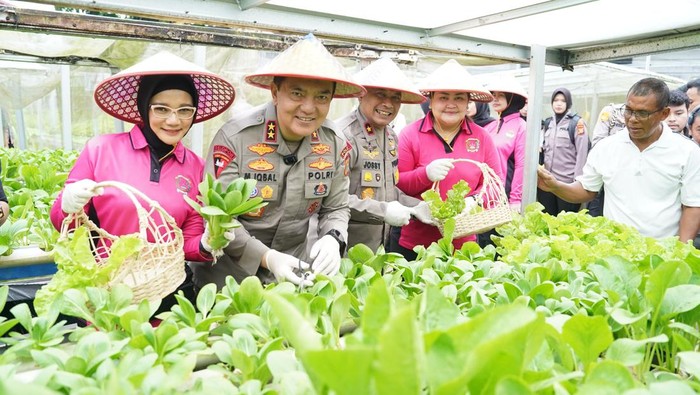 Kapolda Riau bersama Bhayangkari saat panen program P2L (Dok Bidhumas Polda Riau)