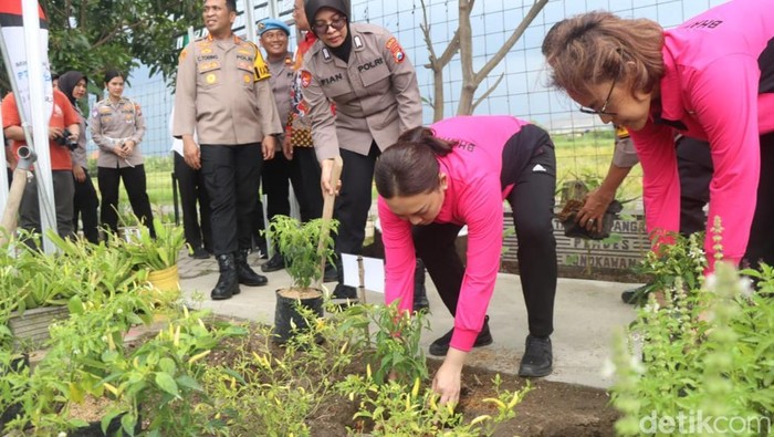 Kapolresta Sidoarjo bersama Ketua Bhayangkari Sidoarjo meluncurkan program Pekarangan Pangan Lestari di Krian.