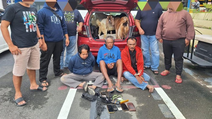 Komplotan maling kambing di Blitar bawa mobil diringkus