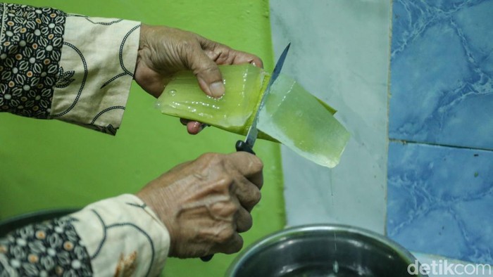 Melihat Produksi Makanan dan Minuman dari Lidah Buaya Lidah buaya bukan hanya sebagai penghias rumah. Di tangan Warsiti (75) tanaman itu diolah menjadi sejumlah produk yang dapat mendulang cuan.