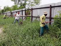 Pemkab Deli Serdang Sebut Pengusaha Tak Ada Izin soal Pagar di Pesisir