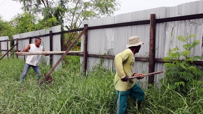 Pagar Misterius di Pesisir Deli Serdang Dibongkar