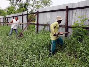 Polemik Pagar di Pesisir Deli Serdang, Dibongkar Kadis LHK Berujung Dipolisikan
