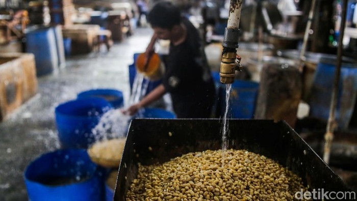 Pasokan Kedelai Jelang Bulan Ramadhan Dipastikan Aman Pasokan kedelai dipastikan aman jelang bulan Ramadhan 2025. Stok kedelai bulan Februari 2025 mencapai 395 ribu ton.