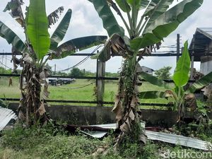 DPRD Bakal Gelar RDP soal Pagar Misterius di Pesisir Deli Serdang
