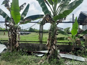 DPRD Bakal Gelar RDP soal Pagar Misterius di Pesisir Deli Serdang