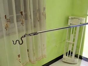Cerita Damkar Evakuasi Ular Cicak yang Ngumpet di AC Rumah Warga Wonosari