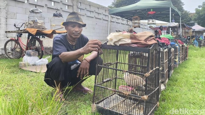 Surya di lapak burungnya dan suasana Pasar Ayam Cirebon