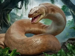 Ngeri! Ilmuwan Temukan Fosil Ular Laut Raksasa, Dulu Raja Samudra Purba