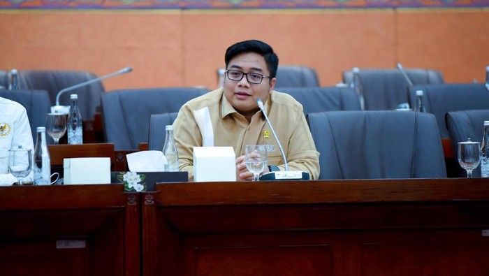 Anggota Komisi VI DPR, Kawendra Lukistian (dok.ist)