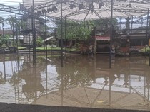 Banjir Rendam Art Centre Denpasar, Stand Pameran Terdampak