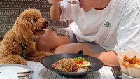 Brandon Salim punya kedekatan tersendiri. dengan anjing peliharaannya. Terlihat dari momen makan nasi campur yang satu ini. Foto: Instagram @brandonsalim