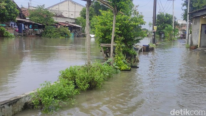 Curah hujan tinggi, 2 sungai di sidoarjo meluap