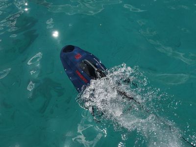 Drone Bawah Air Bantu Pelajari Terumbu Karang di Siprus