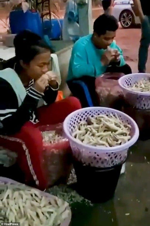 Duh! 5 Pabrik Makanan Ini Viral Saking Jorok dan Kotornya