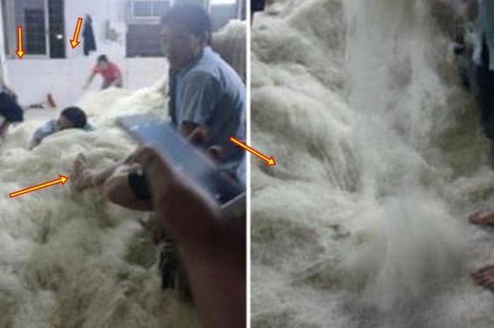 Duh! 5 Pabrik Makanan Ini Viral Saking Jorok dan Kotornya