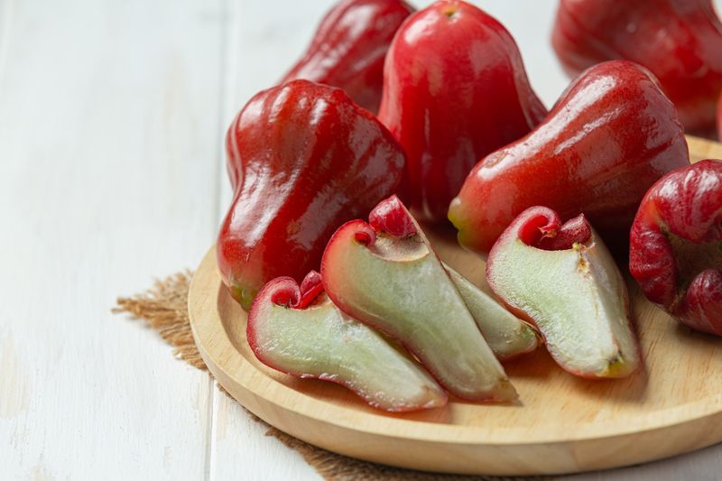 10 Jenis Jambu Air di Indonesia Beserta Gambarnya