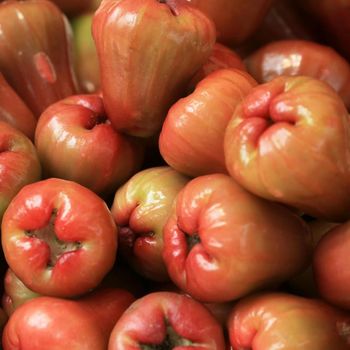 10 Jenis Jambu Air di Indonesia Beserta Gambarny