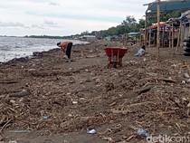 Sampah Kayu dari Banjir Sungai Jeneberang Masih Penuhi Bibir Pantai Makassar
