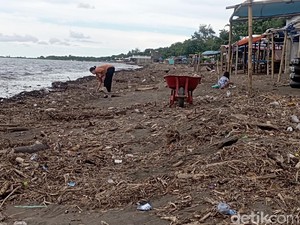 Sampah Kayu dari Banjir Sungai Jeneberang Masih Penuhi Bibir Pantai Makassar