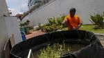 Melihat Warga Binaan Budi Daya Sayur dan Ikan di Rutan Serang