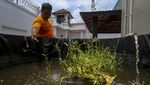 Melihat Warga Binaan Budi Daya Sayur dan Ikan di Rutan Serang