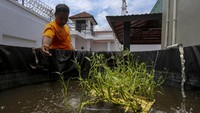 Warga binaan melakukan budi daya beragam jenis sayuran dan ikan di dalam rutan tersebut.