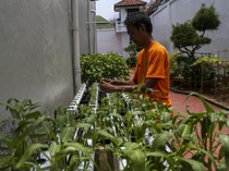 12.146 Napi Ikut Ketahanan Pangan di Lapas, Premi Capai Rp 902 Juta di 2025