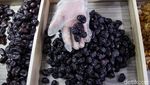 Permintaan Kurma Meningkat Jelang Ramadan
