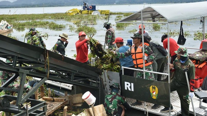 Prajurit TNI bersama warga bahu-membahu melakukan aksi pembersihan eceng gondok di Danau Tondano.