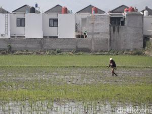 Risiko Punya Rumah di Atas Lahan Bekas Sawah