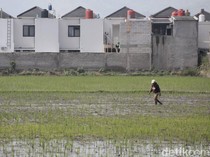 Risiko Punya Rumah di Atas Lahan Bekas Sawah