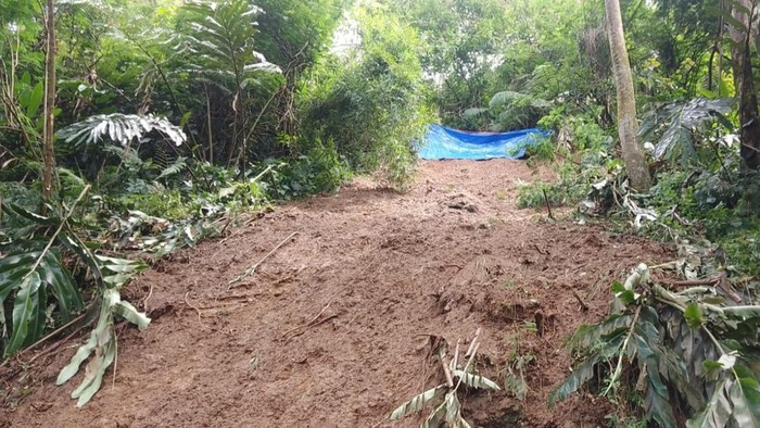 Tebing setinggi 35 meter di Megamendung, Bogor, Jawa Barat, longsor. Longsoran tebing tersebut sempat menutup jalan utama kabupaten. (Rizky/detikcom).