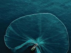 Karya Jawara The World Nature Photographer of The Year 2025 Pukau Mata