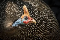 The World Nature Photography Awards 2025