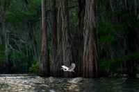The World Nature Photography Awards 2025