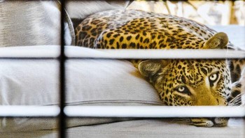 People and nature. Penghargaan Bronze diraih John Edward dari Inggris. Foto: The World Nature Photography Awards