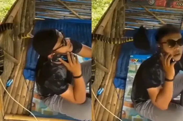 Viral Ular Serang Pria