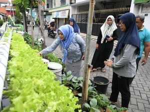 DPRD Surabaya Dorong Warga Lestarikan Urban Farming di Perkampungan