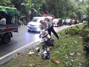 Pemotor di Bone Tewas Tabrak Pikap Berhenti di Jalan gegara Pohon Tumbang