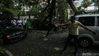 Akibat kejadian ini arus lalu lintas di jalan Teuku Cik Ditiro sempat tersendat.  