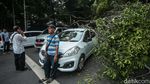 Bruk! 3 Mobil Ringsek Tertimpa Pohon Tumbang di Jakpus